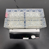 Thermo Scientific Compact Digital MicroPlate Shaker image 3
